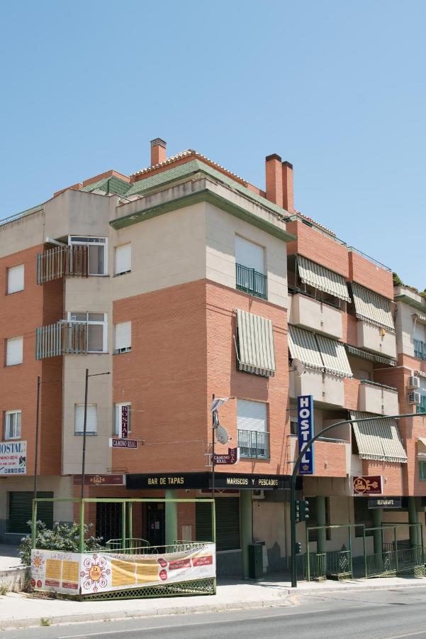 Hostal Camino Real 그라나다 외부 사진
